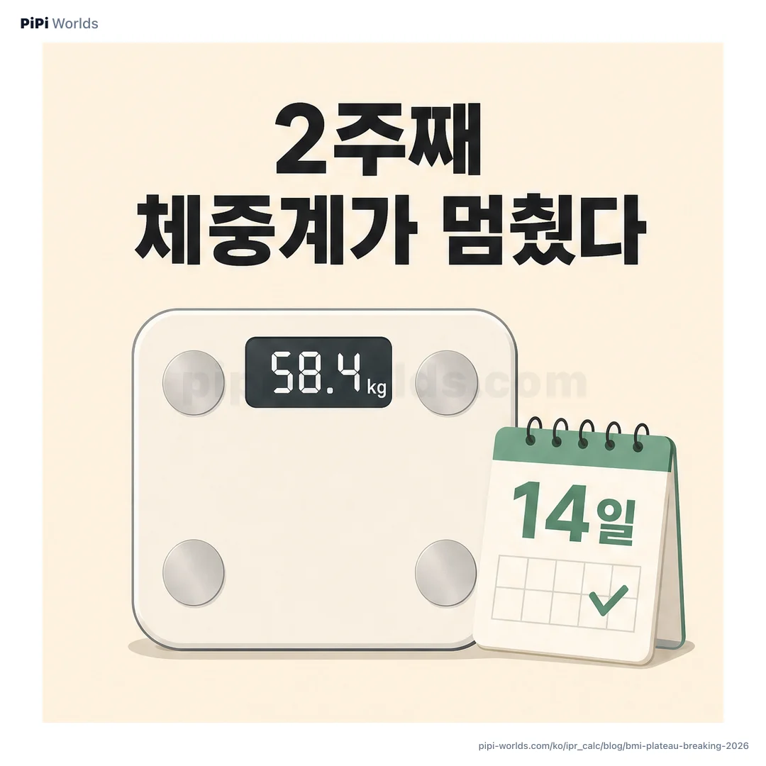 라벤더·민트 그라디언트 위에 PiPi 마스코트와 '정체기 깨는 법' 제목이 박힌 한국 다이어트 시장용 카드.
